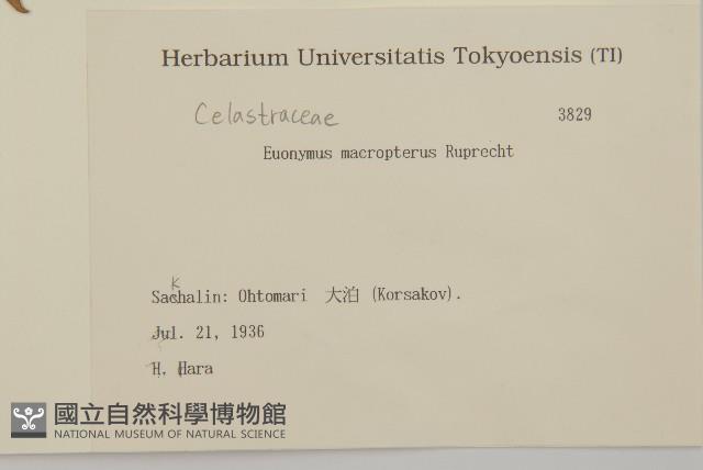 黃瓢子藏品圖，第2張