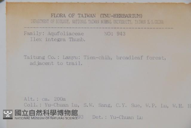 全緣葉冬青藏品圖，第2張