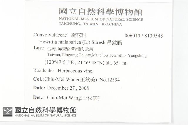 吊鐘藤藏品圖，第2張
