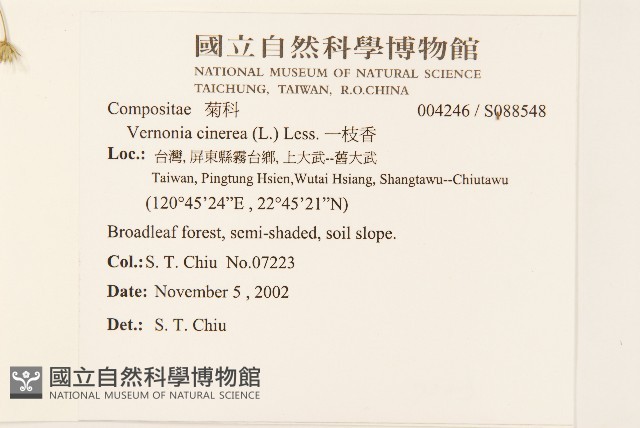 一枝香藏品圖，第2張