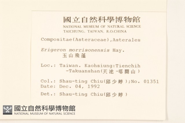 玉山飛蓬藏品圖，第2張