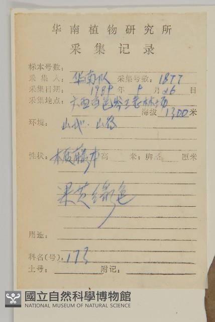 哥蘭葉藏品圖，第2張