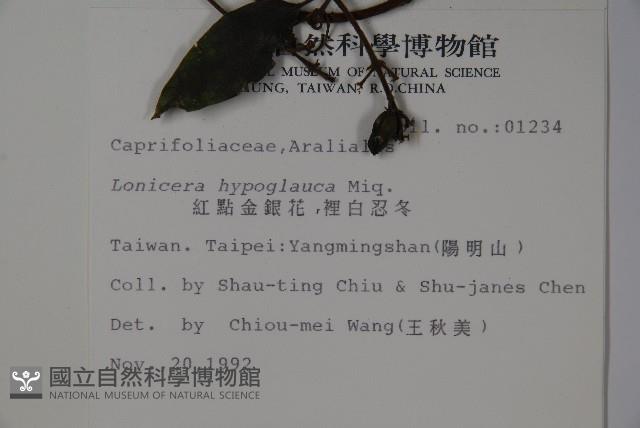 Red-spotted Honeysuckle Collection Image, Figure 2, Total 2 Figures