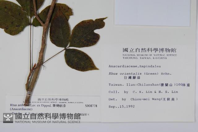 Accession Number:S008778 Collection Image, Figure 2, Total 2 Figures