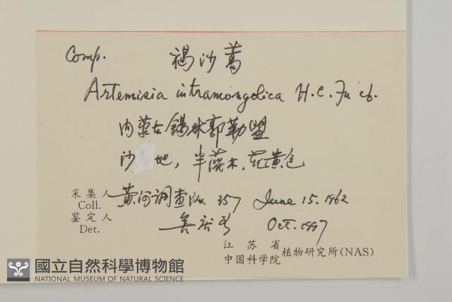 登錄號:S060278藏品圖，第2張