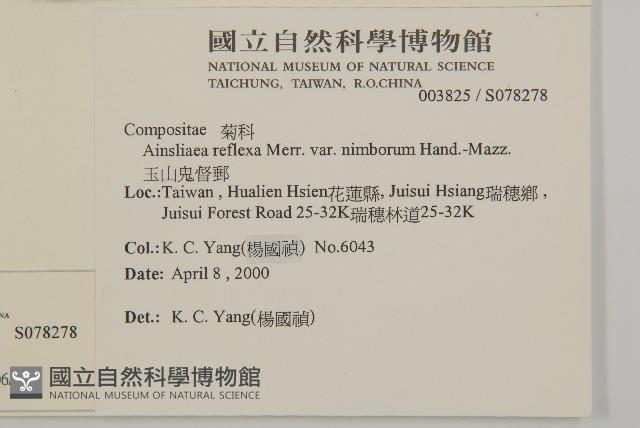 臺灣鬼督郵藏品圖，第2張