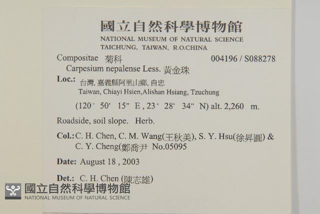 黃金珠藏品圖，第2張