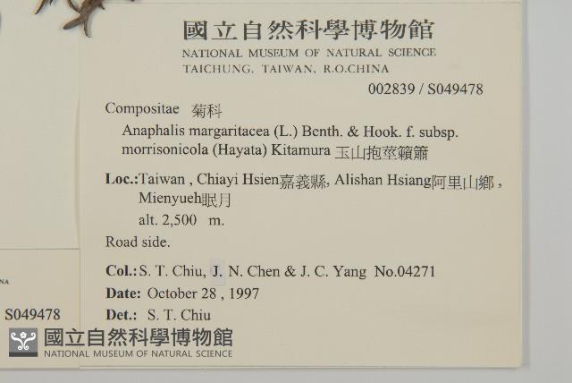 玉山抱莖籟簫藏品圖，第2張