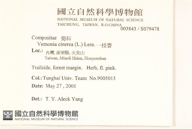 一枝香藏品圖，第2張