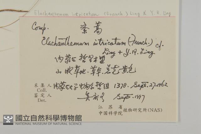 紊蒿藏品圖，第2張