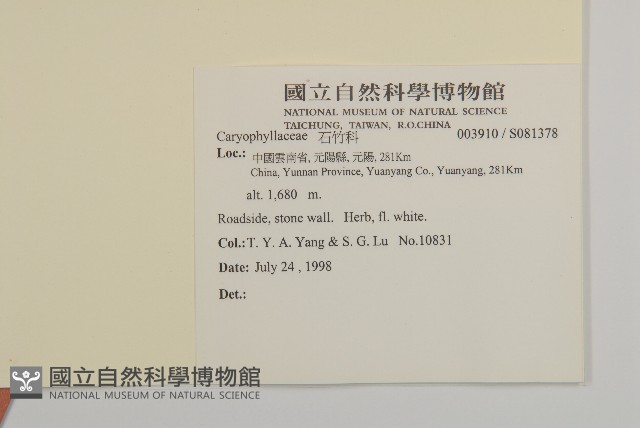 登錄號:S081378藏品圖，第2張