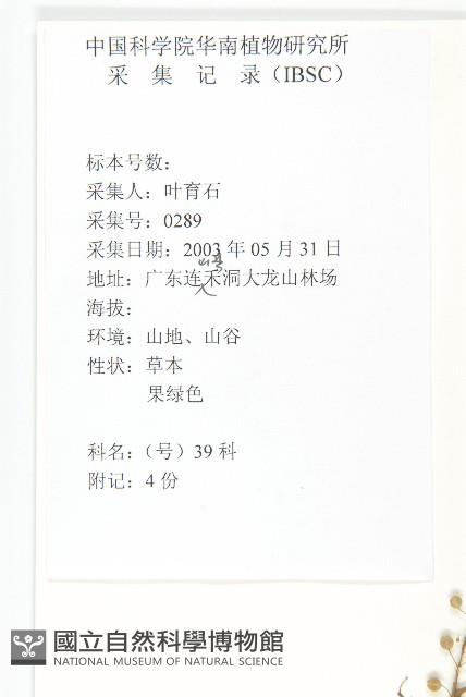 獨行菜藏品圖，第2張