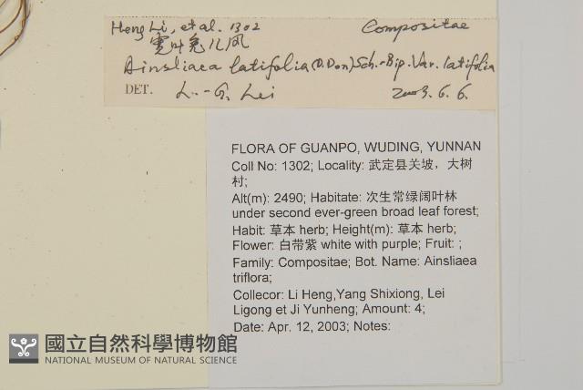 台灣鬼督郵藏品圖，第2張