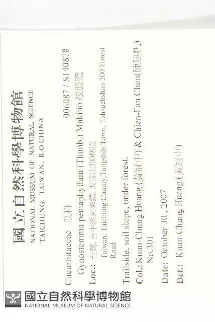 絞股藍藏品圖，第2張