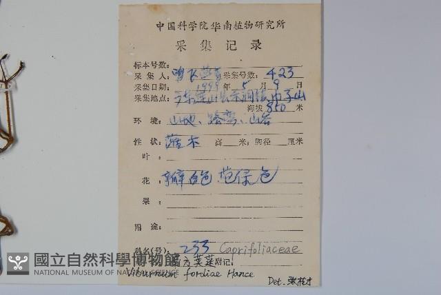 南方莢迷藏品圖，第2張