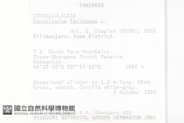 登錄號:S093878藏品圖，第2張