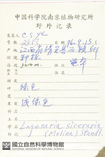 小葫蘆藏品圖，第2張