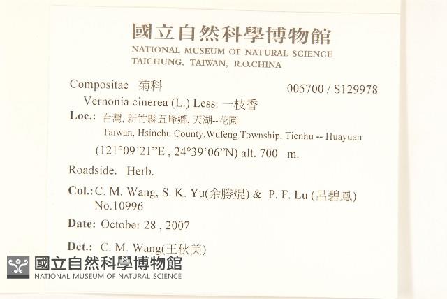 一枝香藏品圖，第2張