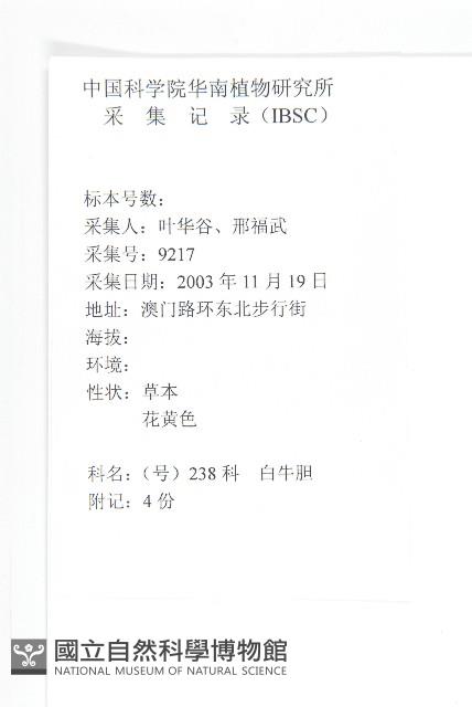 羊耳菊藏品圖，第2張