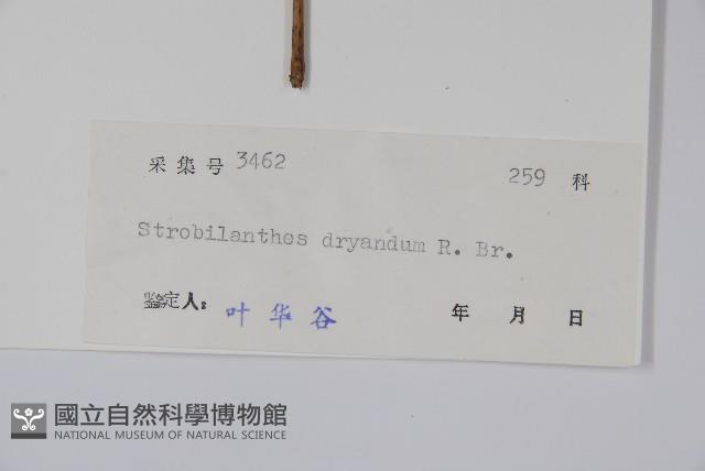 登錄號:S038978藏品圖，第2張