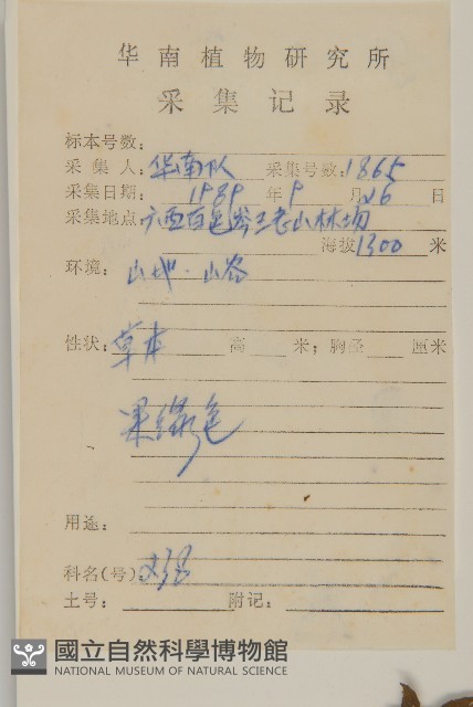 杓兒菜藏品圖，第2張