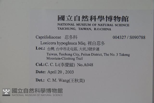 裡白忍冬、紅腺忍冬藏品圖，第2張