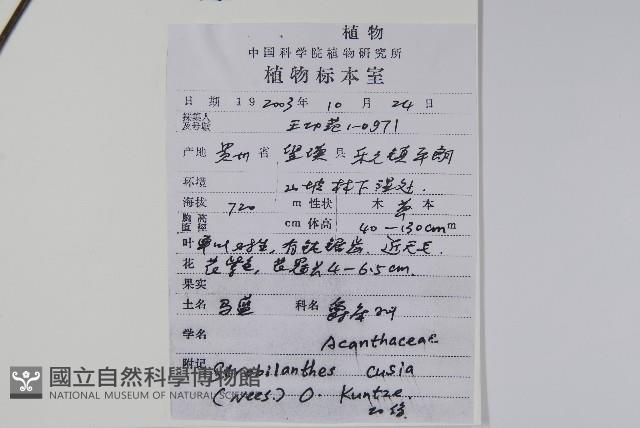 馬藍藏品圖，第2張