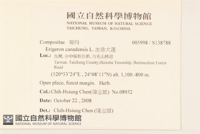 加拿大蓬藏品圖，第2張