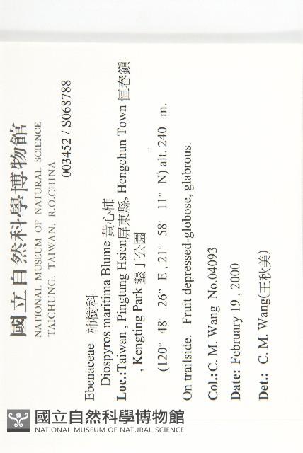 黃心柿藏品圖，第2張