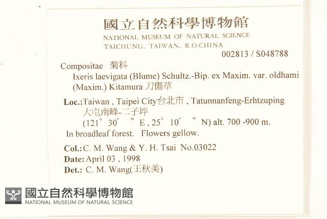 刀傷草藏品圖，第2張