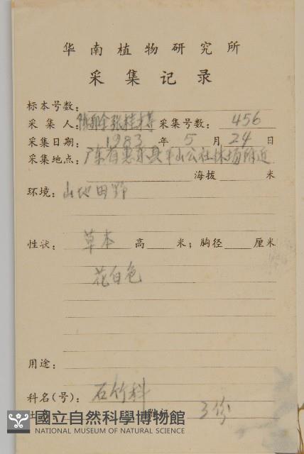 牛繁縷藏品圖，第2張