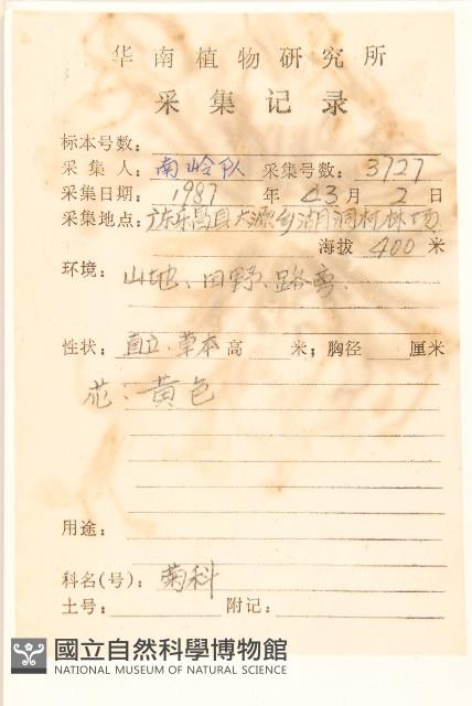 稻槎菜藏品圖，第2張