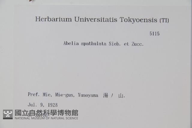 登錄號:S082188藏品圖，第2張