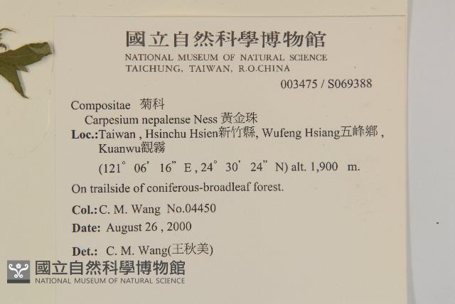 黃金珠藏品圖，第2張