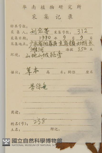 牡蒿藏品圖，第2張