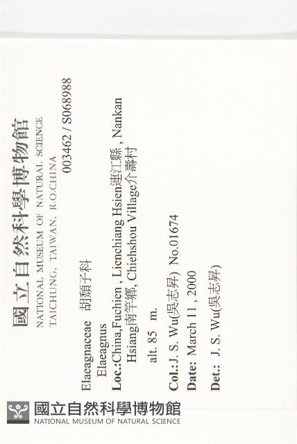 登錄號:S068988藏品圖，第2張