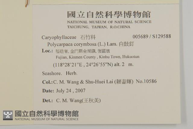 白鼓釘藏品圖，第2張