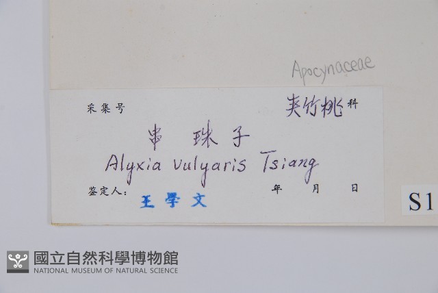 串珠子藏品圖，第2張