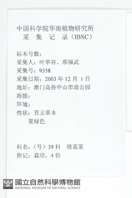 葶藶藏品圖，第2張