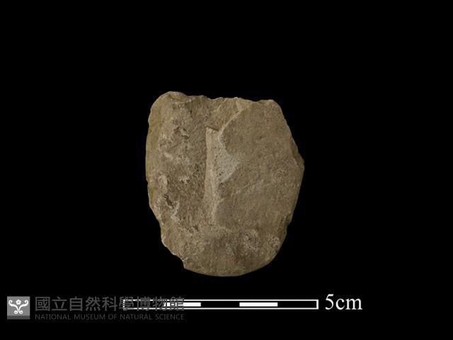 磨製斧鋤形器藏品圖，第2張