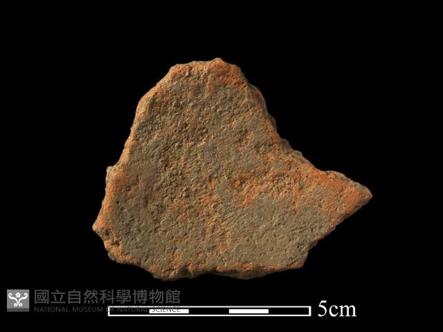 陶片藏品圖，第2張