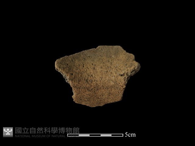 陶罐藏品圖，第3張