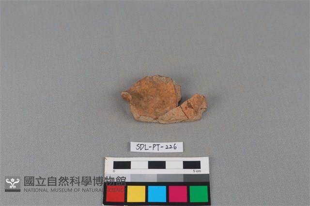 陶片藏品圖，第2張