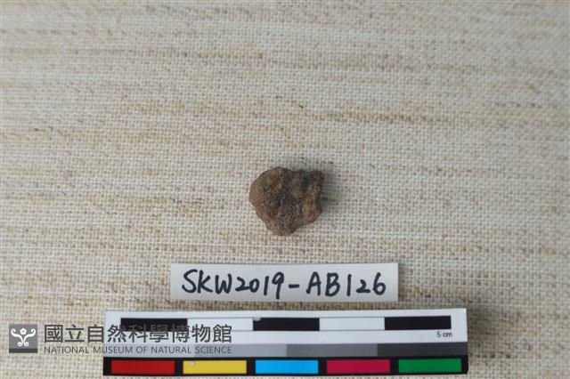 獸骨藏品圖，第2張