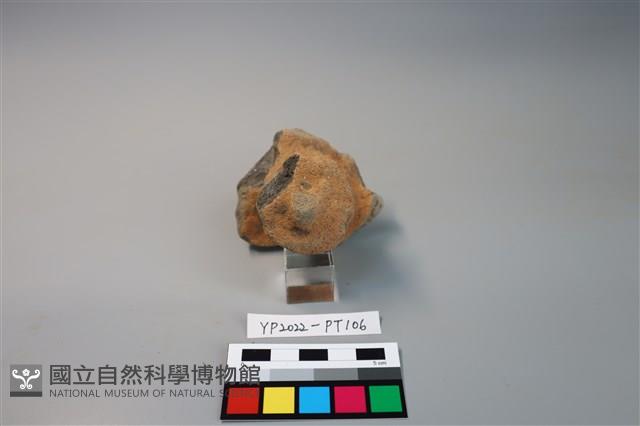 碗/淺盤型陶蓋藏品圖，第2張