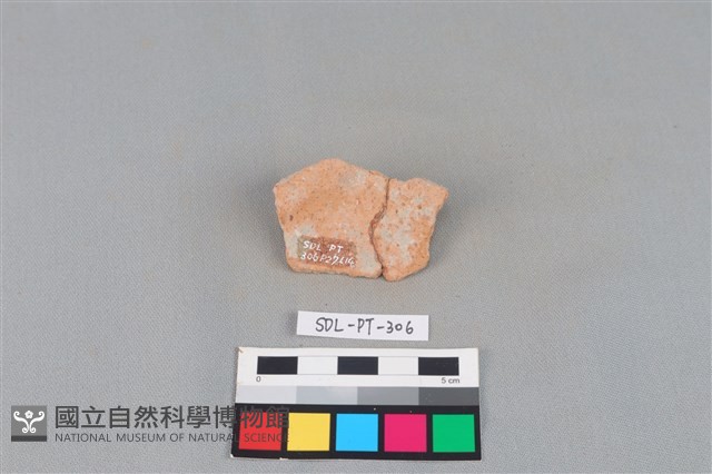 陶片藏品圖，第2張