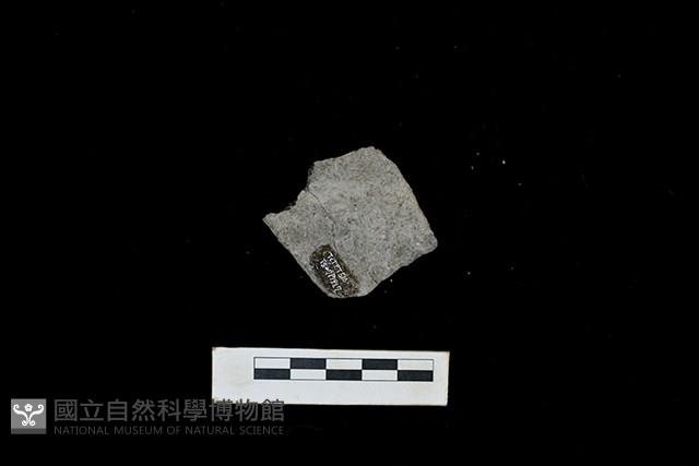 陶片藏品圖，第2張