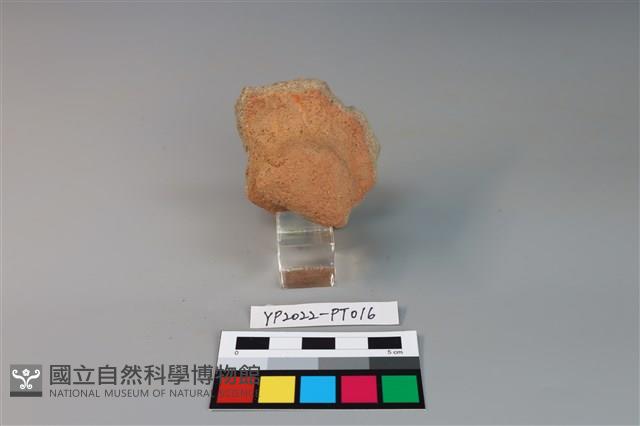 碗/淺盤型陶蓋藏品圖，第2張