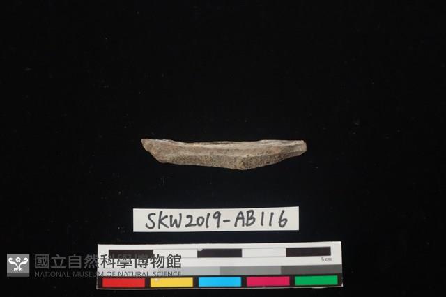 獸骨藏品圖，第2張