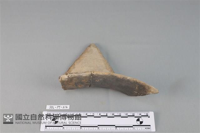 陶罐藏品圖，第2張